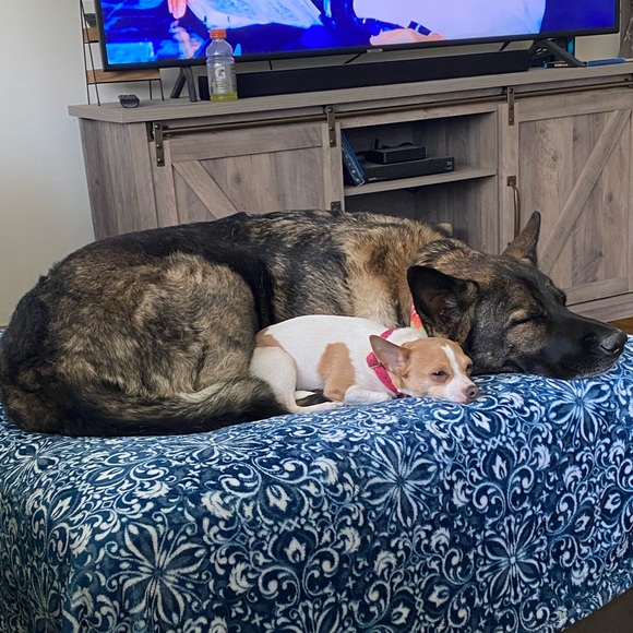 Meet your Posher, Alyssa - Picture 6 of 6